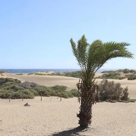 Dunas *